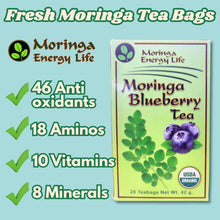 Load image into Gallery viewer, USDA Organic Moringa Blueberry Tea bags (28) - Moringa Energy Life
